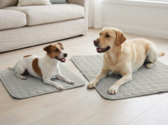 A Jack Russell and a Labrador on Pebble (light grey) Coolmutt mats