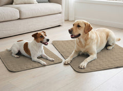 A Jack Russell and a Labrador on Cocoa (taupe) Coolmutt mats