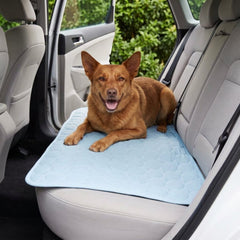 A dog on the mat across a car back seat